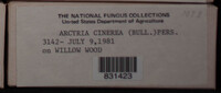 Image Associated With the Occurence